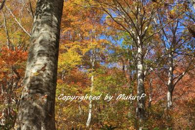 IMG_9947_20111029.jpg