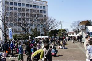 DSC04851-1.jpg