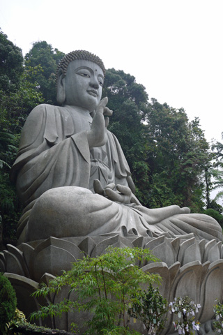 P1090564.jpg