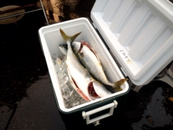 写真 2013-12-02 6 58 06