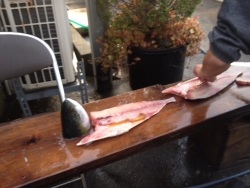 写真 2013-12-02 7 13 27