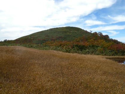 201410503.jpg