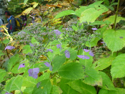 201410506.jpg