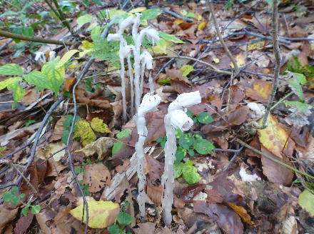201410507.jpg