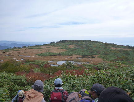 201410512.jpg