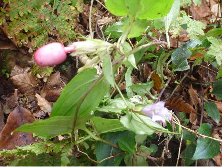 201410517.jpg