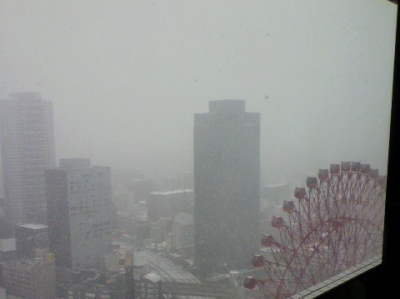 P1000385_20140215123655131.jpg
