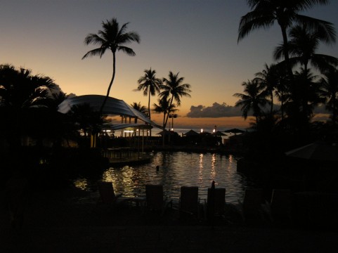 a0950_000175.jpg