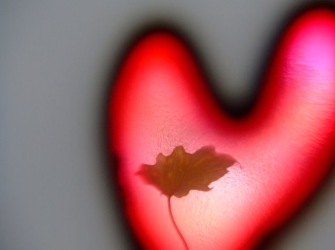 a0960_000060.jpg