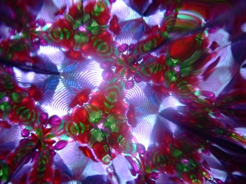 a0960_000676.jpg