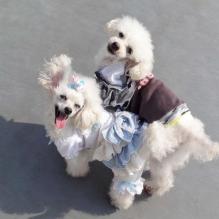 moblog_23023155.jpg