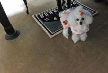 moblog_35960164.jpg