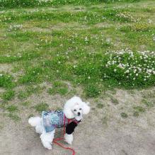moblog_41377d1a.jpg