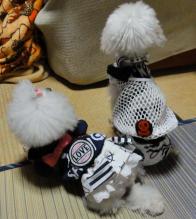 moblog_7572df8d.jpg