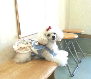 moblog_a0546eeb.png