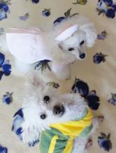 moblog_c5168d09.jpg