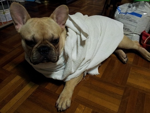 20120916_184036_R.jpg