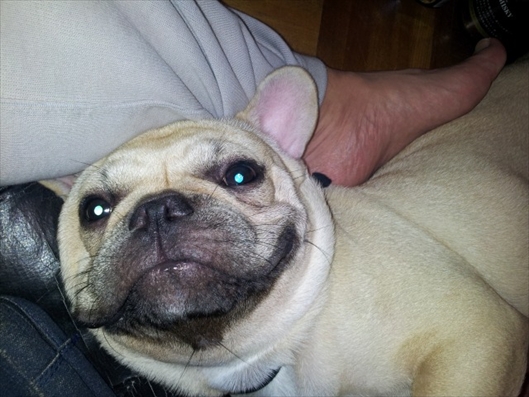 20120923_200031_R.jpg
