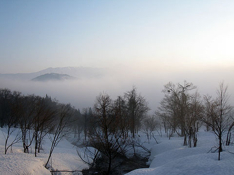 IMG_3079.jpg
