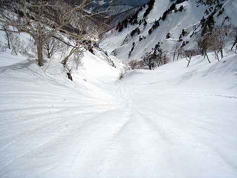 IMG_3110.jpg
