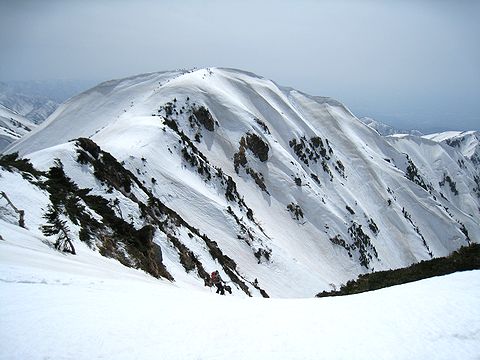 IMG_3153.jpg