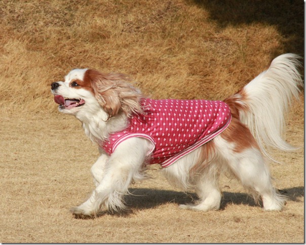 IMG_3450 IMG_3450