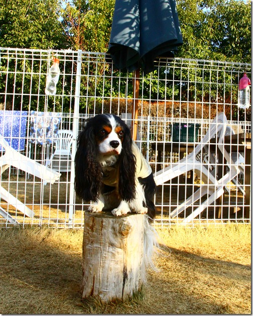 IMG_3580 IMG_3580