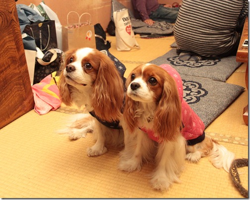 IMG_3640 IMG_3640