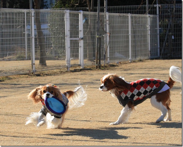 IMG_3692 IMG_3692