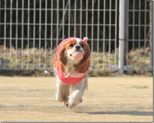 IMG_4188 IMG_4188