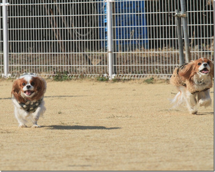 IMG_4202 IMG_4202
