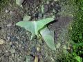 DSC00755.jpg