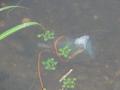 DSC00848.jpg