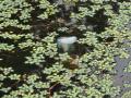 DSC00849.jpg