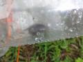 DSC00851.jpg