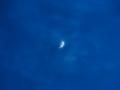 DSC01225.jpg
