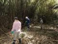DSC01243.jpg