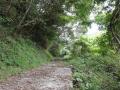 DSC01248.jpg