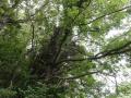 DSC01249.jpg