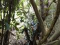 DSC01280.jpg