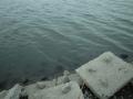 R0011585.jpg