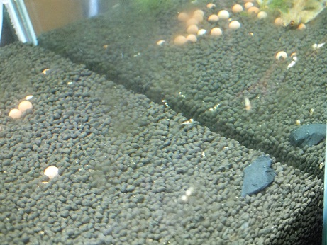 007_20130403233926.jpg