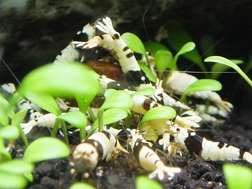 012_20130607015739.jpg