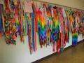 DSCN0570.jpg