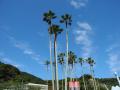 DSCN0592.jpg