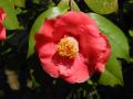 DSCN0864.jpg