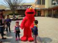DSCN0929.jpg