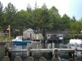 DSCN0952.jpg