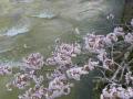 DSCN3346.jpg