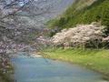 DSCN3348.jpg